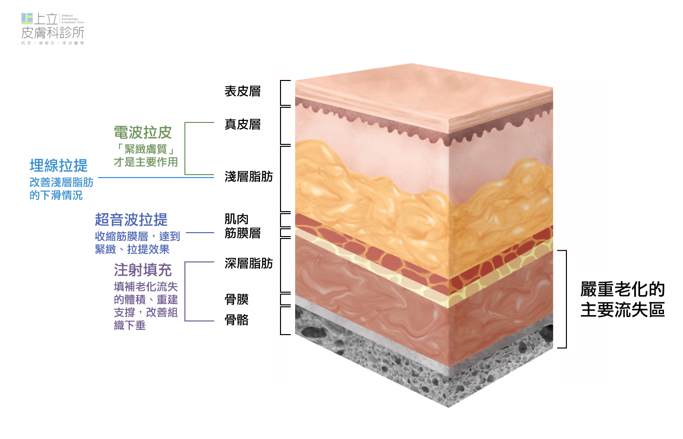 療程與治療部位