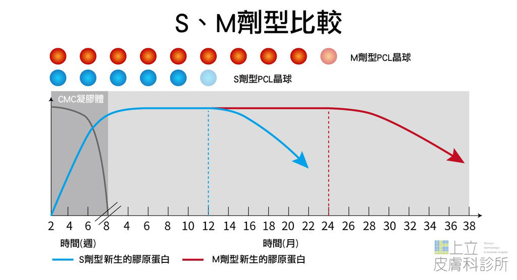 膠原蛋白不同劑型比較