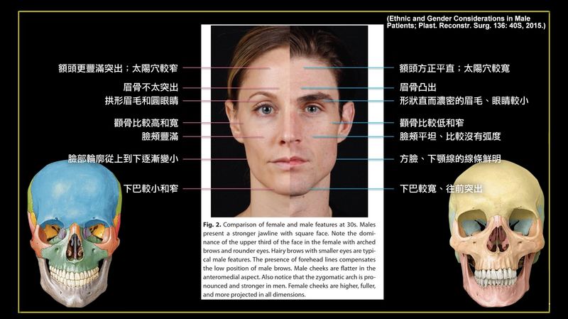 男性和女性五官大比較