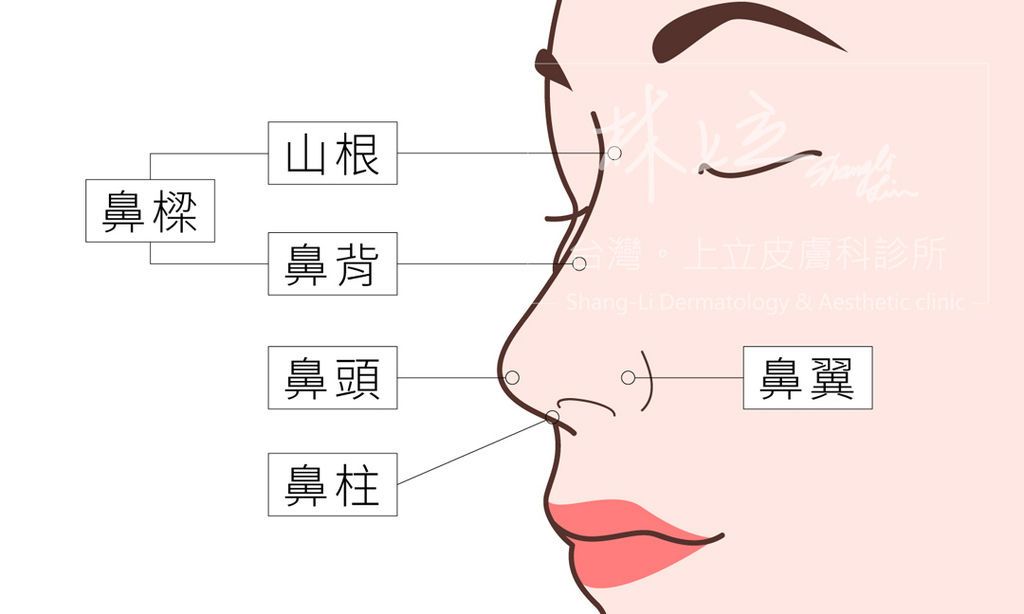 全面調整山根、鼻背、鼻尖、鼻翼、鼻柱，才能創造精緻好看鼻部。