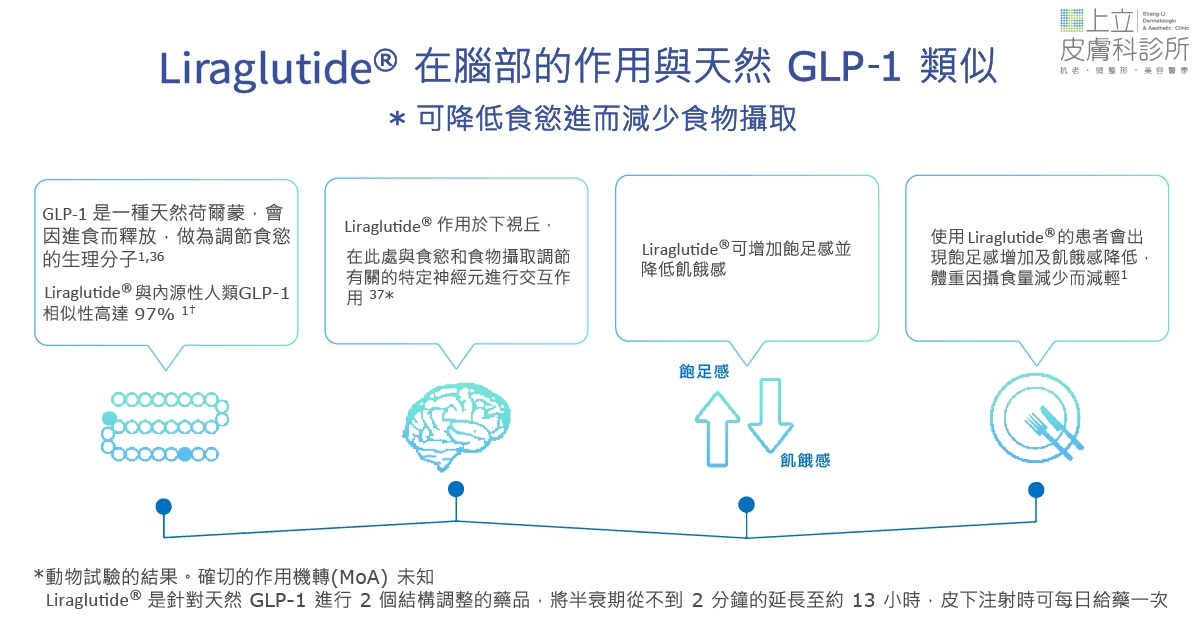 Saxenda善纖達可降低食慾進而減少食物攝取