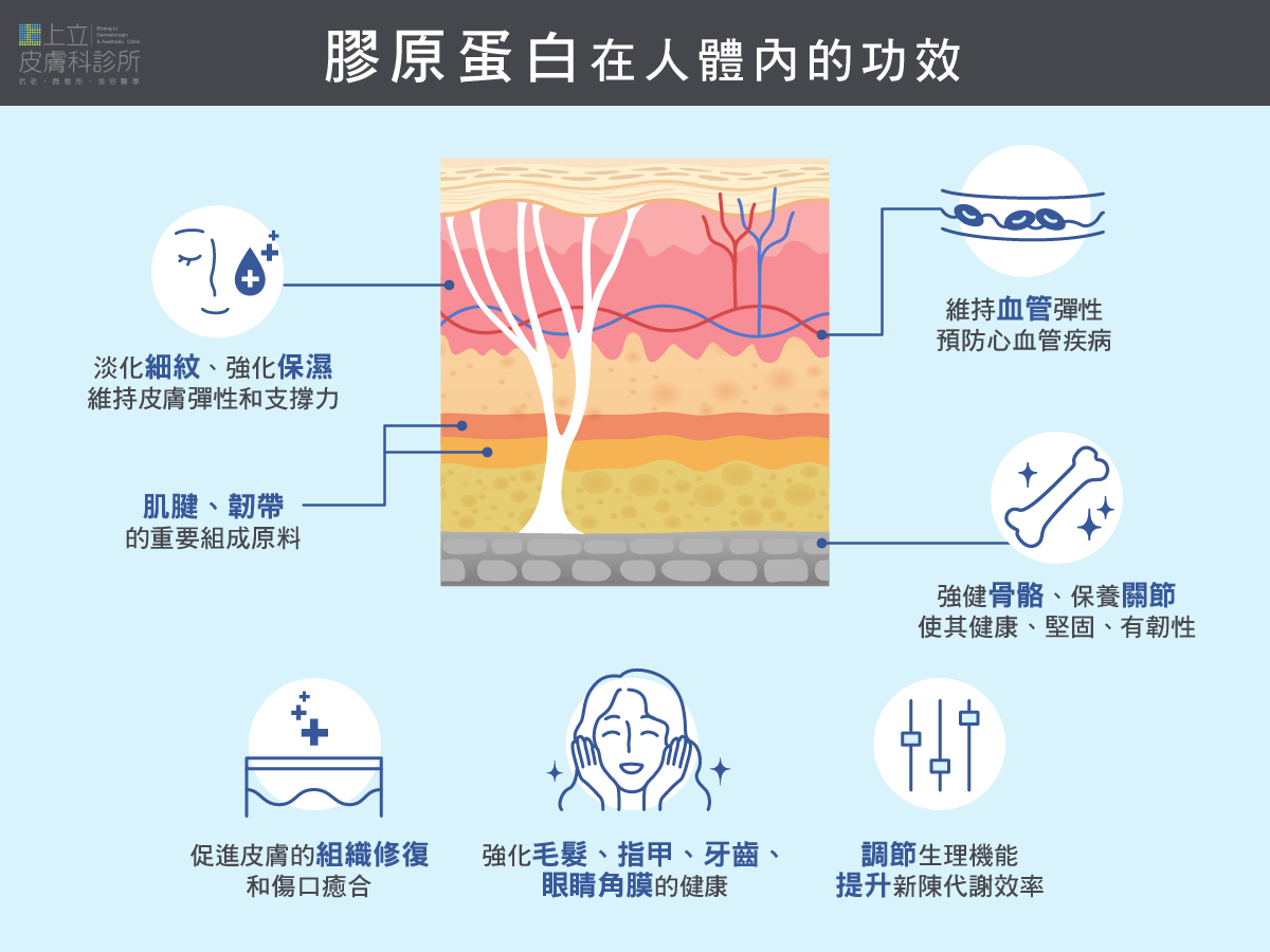 膠原蛋白在人體的功效