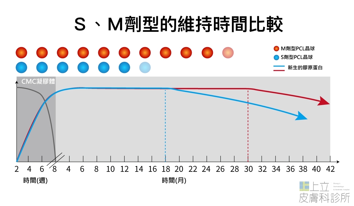 ELLANS&Eacute;洢蓮絲，S、M劑解說圖