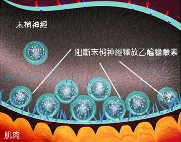 林上立診所Botox肉毒桿菌注射